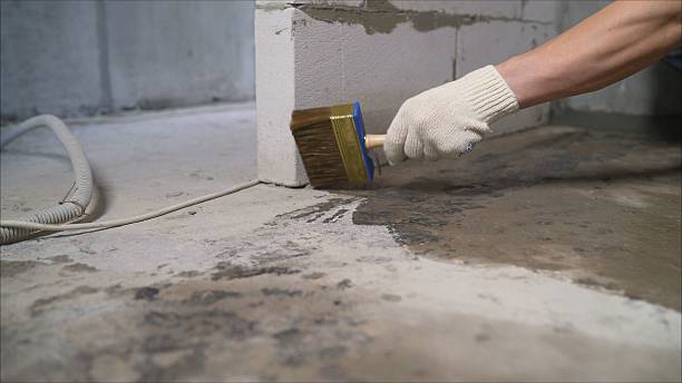 Crawl space vapor barrier installation in Williamsport, OH